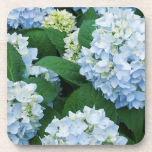 Hydrangea Untersetzer Set