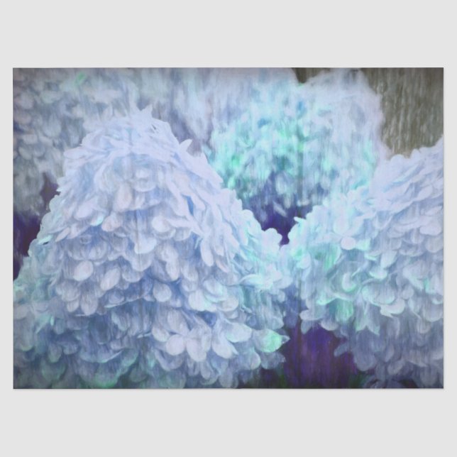 Hydrangea Vintag Blue Aquamarin Sketch Rustikale B Seidenpapier (Vorderseite)