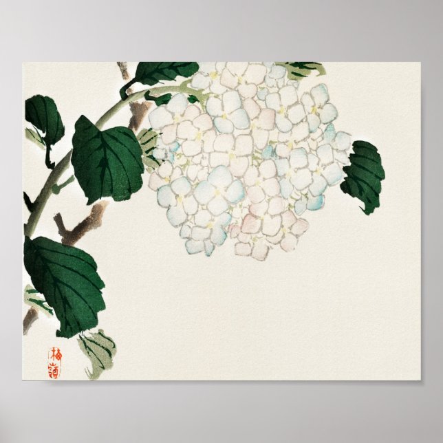 Hydrangea von Kōno Bairei Poster (Vorne)