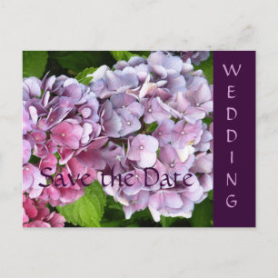 Hydrangea Wedding Save the Date Postcard Ankündigungspostkarte