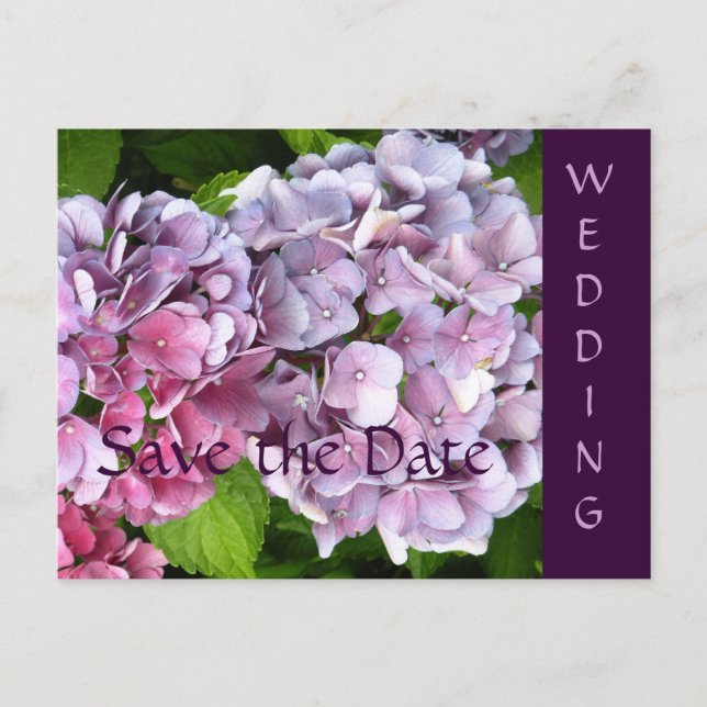 Hydrangea Wedding Save the Date Postcard Ankündigungspostkarte (Vorderseite)