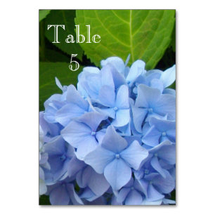 Hydrangea Wedding Tischnummer