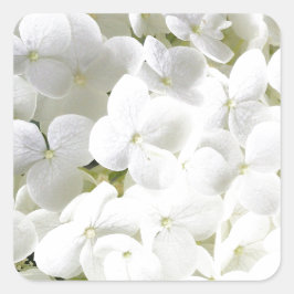 Hydrangea Weiße Blumenmuster Quadratischer Aufkleber