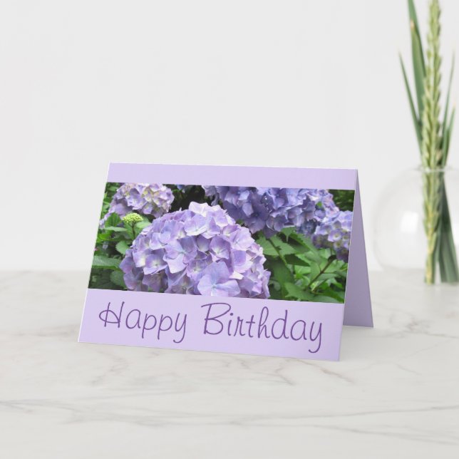 Hydrangeas an Trebah Gärten, Cornwall Karte (Vorderseite)