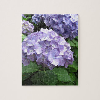 Hydrangeas an Trebah Gärten, Cornwall Puzzle