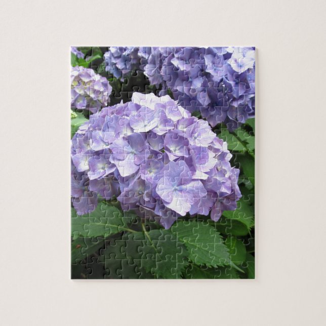 Hydrangeas an Trebah Gärten, Cornwall Puzzle (Vertikal)