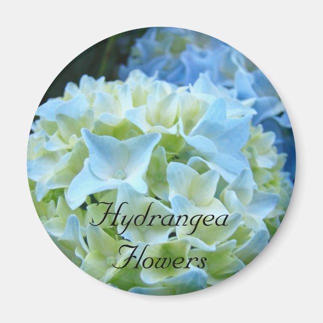 Hydrangeas-Blume-Magnet Blue Hydrangeas Floral Magnet (Vorne)