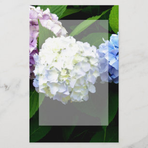 Hydrangeas Briefpapier