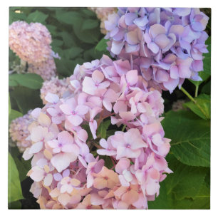 Hydrangeas Fliese