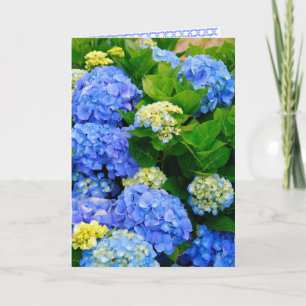 Hydrangeas Friendship Card Karte