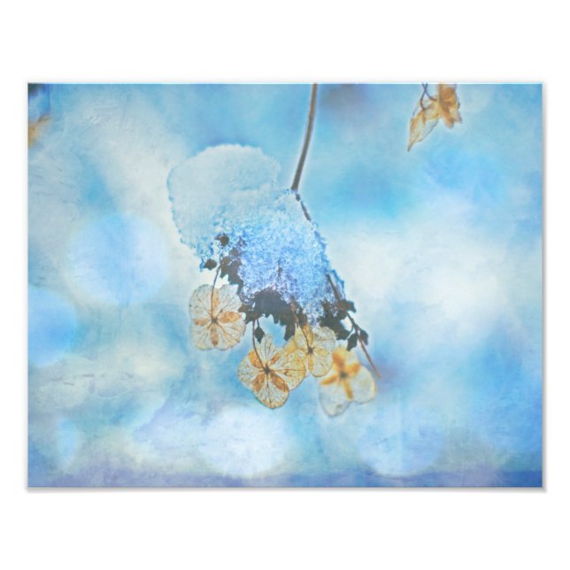 Hydrangeas, gefroren fotodruck (Vorne)