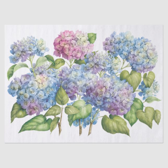 Hydrangeas in Bloom Seidenpapier (Vorderseite)