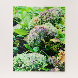 Hydrangeas in Nordirland Puzzle