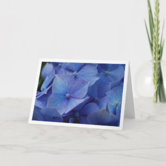 Hydrangeas Karte