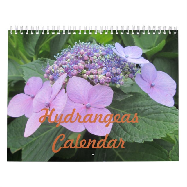 Hydrangeas-kundengerechter Blumen-Kalender Kalender (Titelbild)