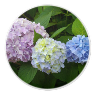 Hydrangeas lila blau keramikknauf