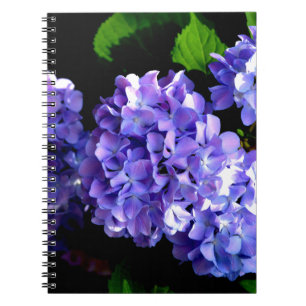 Hydrangeas, lila blauer Blume Notizblock