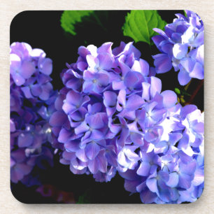 Hydrangeas, lila blauer Blume Untersetzer