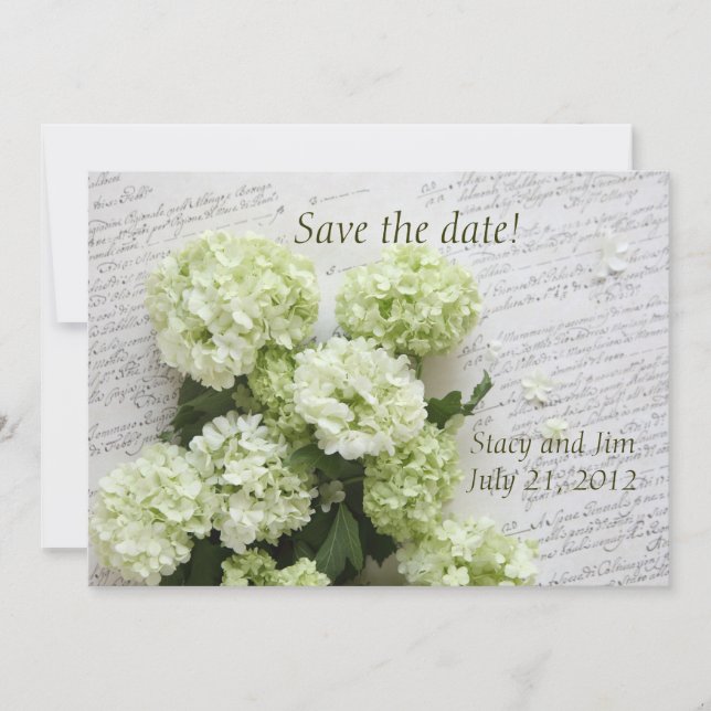 Hydrangeas mit Skripten Save the Date (Vorderseite)