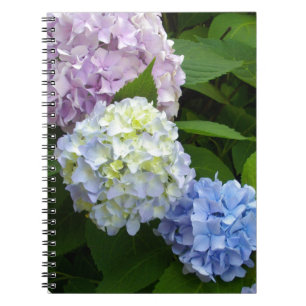 Hydrangeas Notizblock