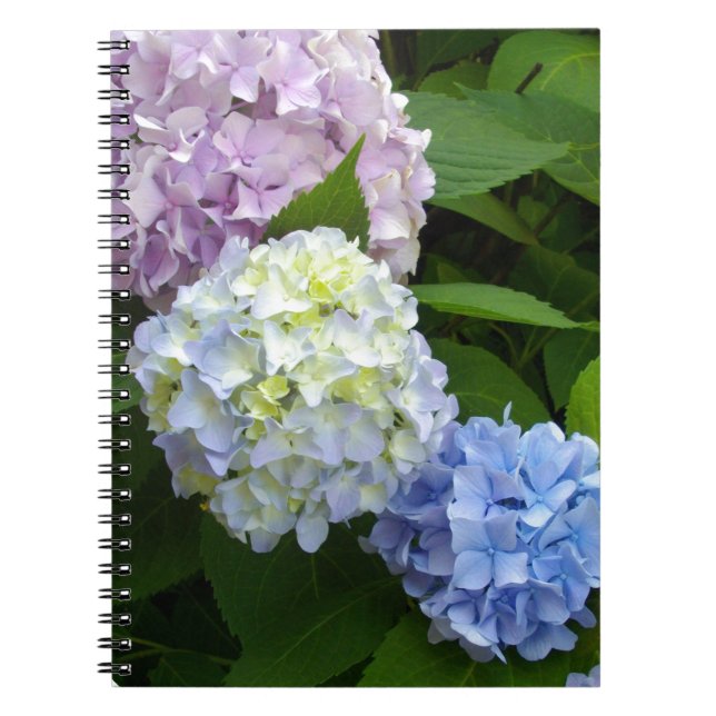 Hydrangeas Notizblock (Vorderseite)