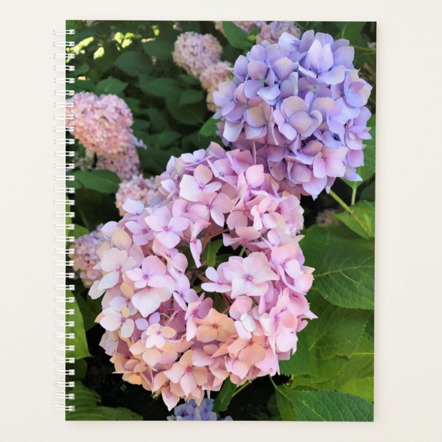 Hydrangeas Planer (Vorderseite)