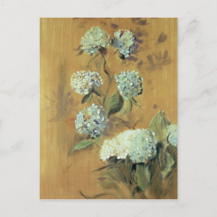 Hydrangeas Postkarte