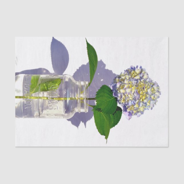 Hydrangeas und Mason-Glas Seidenpapier (Vorderseite)