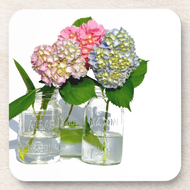 Hydrangeas und Maurerkirsche Untersetzer (Vorderseite)