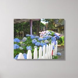 Hydrangeas und Picket Fence - Martha's Vineyard Leinwanddruck