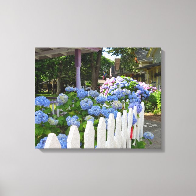 Hydrangeas und Picket Fence - Martha's Vineyard Leinwanddruck (Vorderseite)