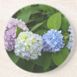 Hydrangeas Untersetzer