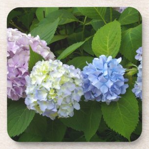 Hydrangeas Untersetzer