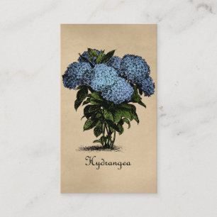 Hydrangeas Vintag botanisch Visitenkarte