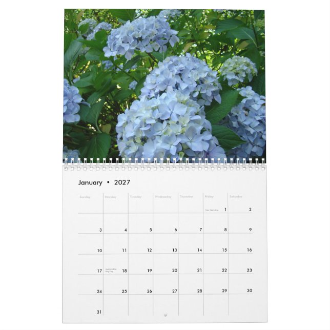 HYDRANGEAS weißer Rosen-Farn-Kalender-Lehrer Kalender (Jan 2027)
