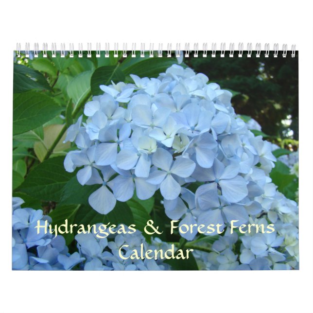 HYDRANGEEN & WALDFARN-KALENDER Geschenke Kalender (Titelbild)