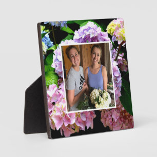 Hydrangegarten Rosa lila blaugrüne Blüte Fotoplatte