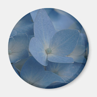 Hydrangemagnet Magnet
