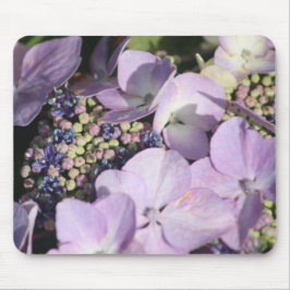 Hydrangia auf der Maus Mousepad