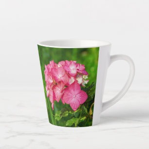 Hydrangia Rosa Blume mit grünen Blätter Milchtasse