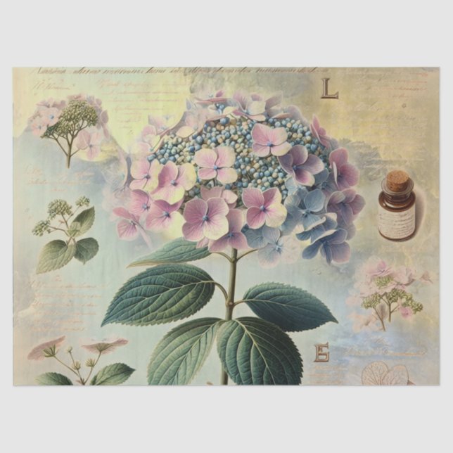 Hydrangia Seidenpapier (Vorderseite)