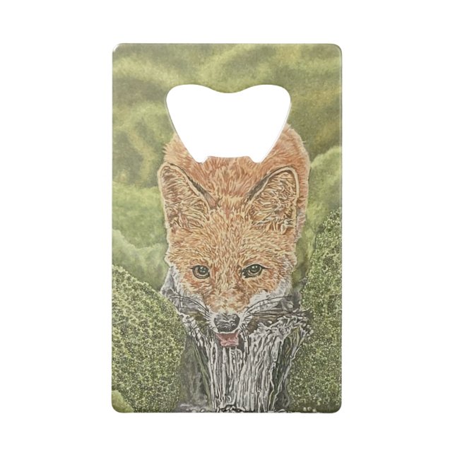 Hydrierwerkzeug Geldbeutel Flaschenöffner (Vorderseite)