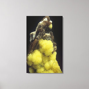 Hydroboracit auf Gorgeyit, Kasachstan Leinwanddruck