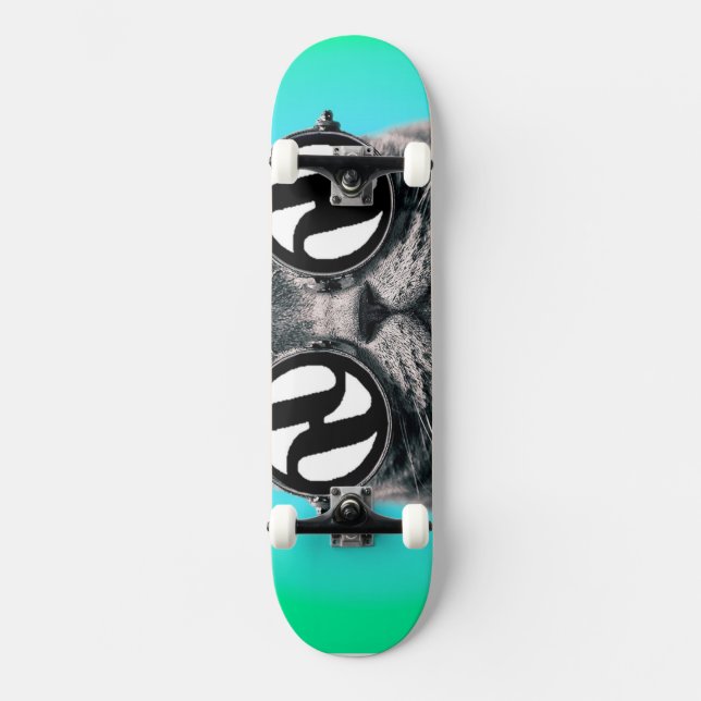 Hydrokatze Skateboard (Vorderseite)