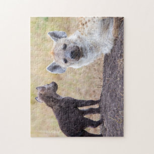 Hyena mit einer jungen puzzle