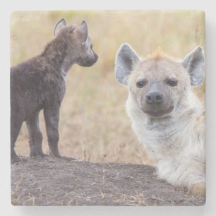 Hyena mit einer jungen steinuntersetzer