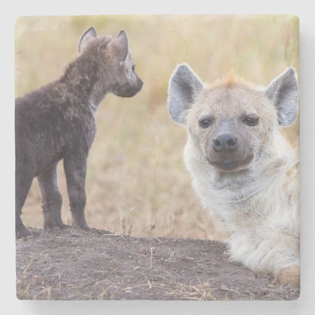 Hyena mit einer jungen steinuntersetzer (Vorderseite)