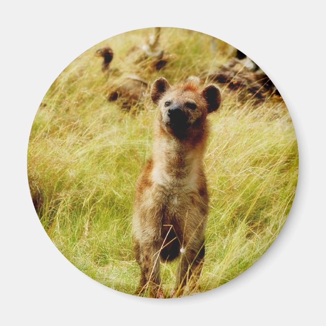 Hyena mit wildebester (gnu) Magnet (Vorne)