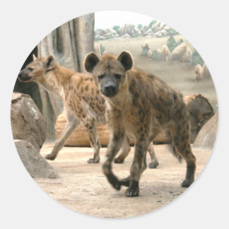 Hyena nimmt einen Look Sticker