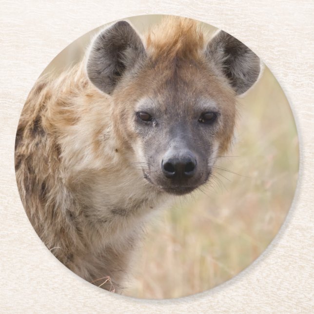 Hyena Runder Pappuntersetzer (Vorderseite)